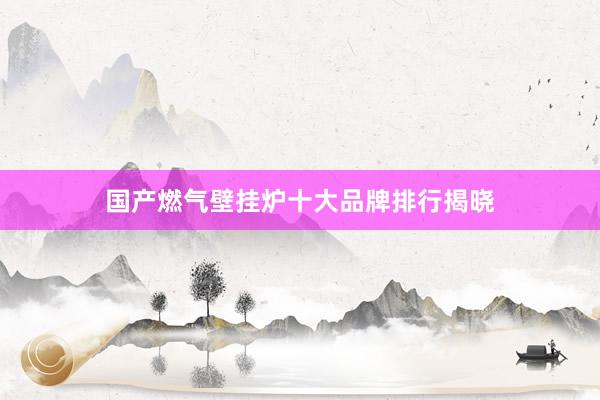 国产燃气壁挂炉十大品牌排行揭晓