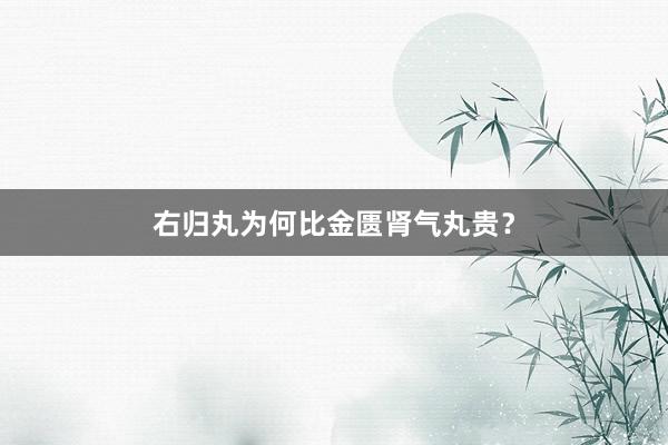 右归丸为何比金匮肾气丸贵？