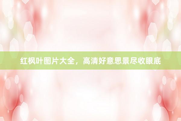 红枫叶图片大全，高清好意思景尽收眼底