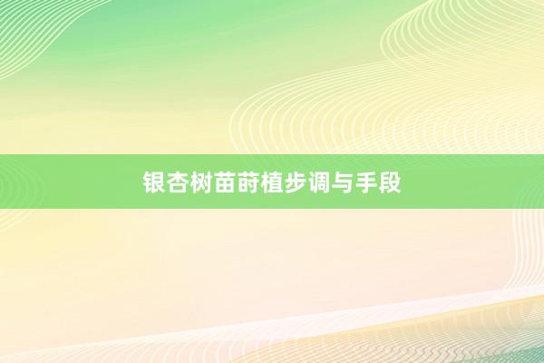 银杏树苗莳植步调与手段