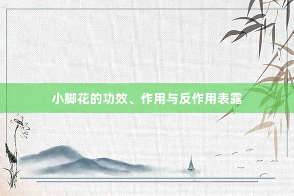 小脚花的功效、作用与反作用表露