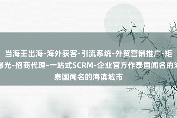 当海王出海-海外获客-引流系统-外贸营销推广-矩阵私信曝光-招商代理-一站式SCRM-企业官方作泰国闻名的海滨城市